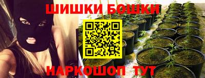 прущие крисы Бердск