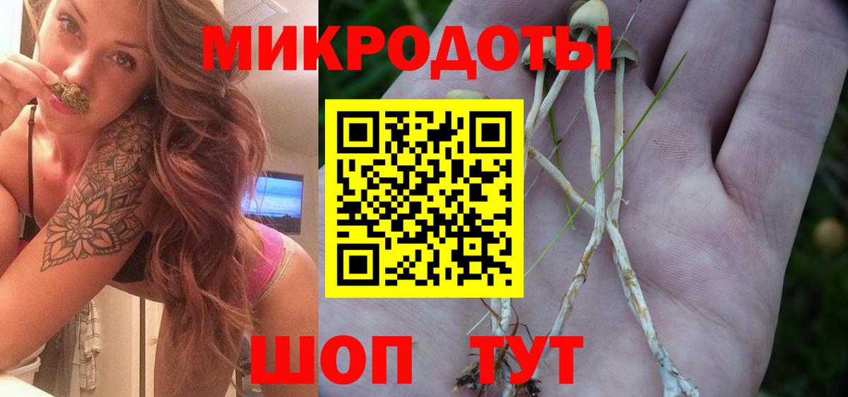 Галлюциногенные грибы Cubensis  Псилоцибиновые грибы прущие грибы  Норильск  Вход с VPN 