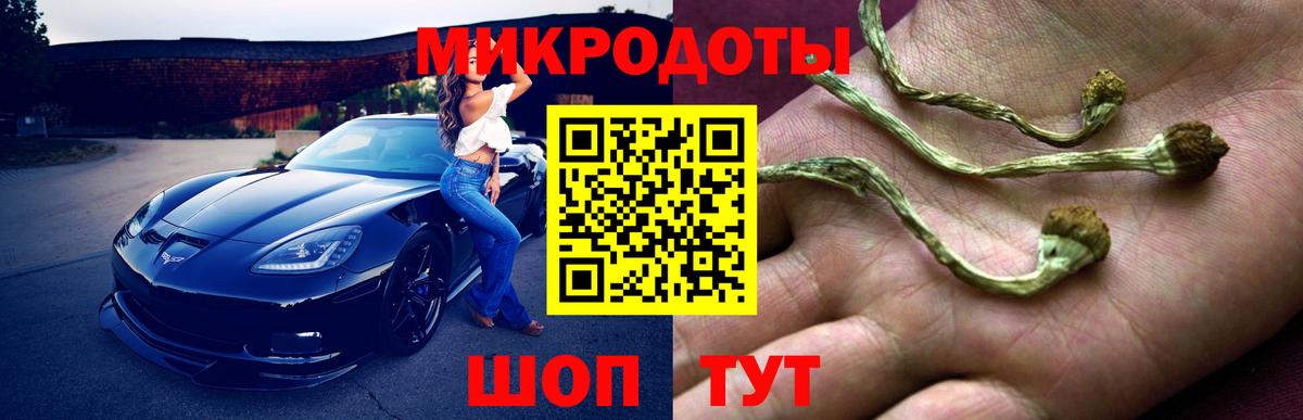 Галлюциногенные грибы Psilocybine cubensis Норильск